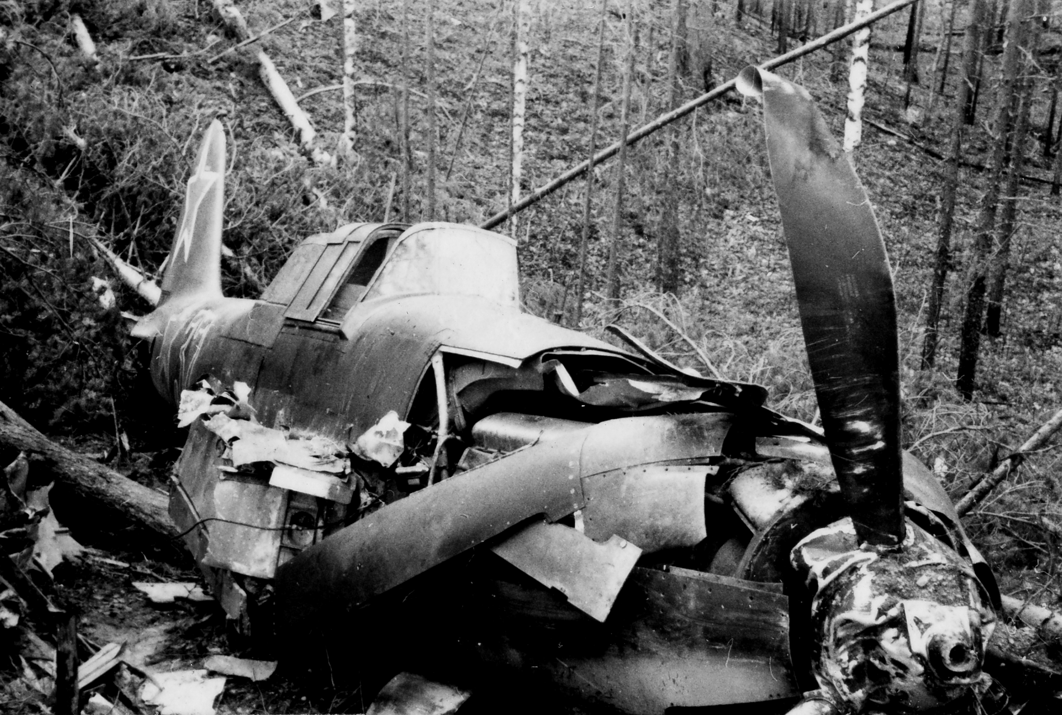 Второй сбитый самолет. Сбитый ил 2. 668 Шап сбитый ил-2 в лесу Карелии. Сбитый финский самолет.