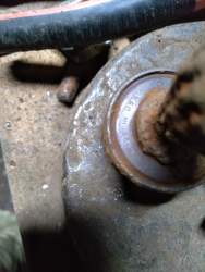IMG-20210425-WA0047.jpg
