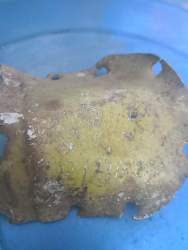 IMG-20210628-WA0077.jpg