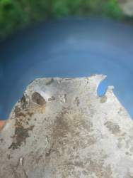 IMG-20210628-WA0087.jpg
