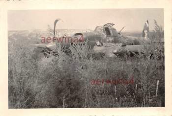 Ил-2 №17 (4-1) Notgelandetes russ. Flugzeug IL-2 Eiserner Gustav Kalmückensteppe Russland.jpg