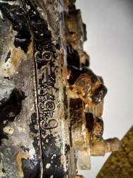 IMG-20211005-WA0035.jpg