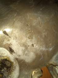 IMG-20211018-WA0000.jpg