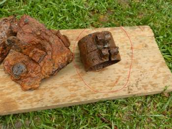 Хомут с МП Пестово.jpg