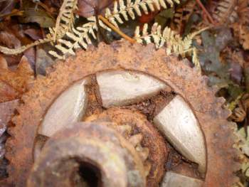 может ли этот номер быть номером мотора.JPG