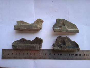 WhatsApp Image 2022-04-16 at 12.51.31.jpeg