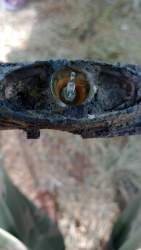 IMG-20220728-WA0013.jpeg
