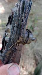 IMG-20220728-WA0015.jpeg