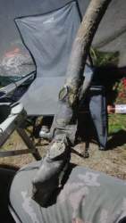 IMG-20220729-WA0016.jpeg