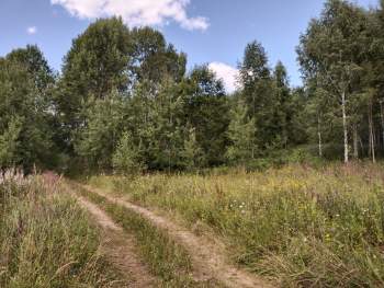 IMG_20220808_141402.jpg