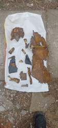 IMG-20230419-WA0004.jpg