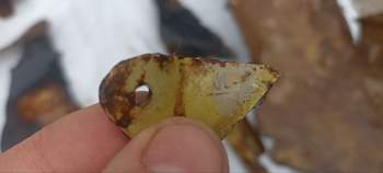 IMG-20230419-WA0005.jpg