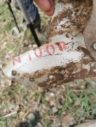 IMG_20230424_005338_049.jpg