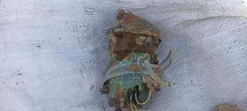 IMG_20230424_192551_567.jpg