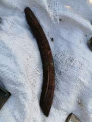 IMG_20230424_194241_106.jpg