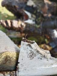 IMG_20230923_133802 (1).jpg