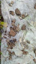 -5362091507861017140_121 (1).jpg