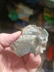 1703514196164.jpg