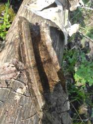 WhatsApp Image 2024-05-06 at 09.48.13.jpeg