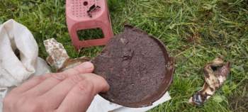 IMG_20240609_185418_406.jpg