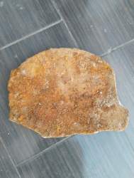 IMG_20250225_150540 (1).jpg