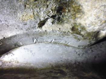 Bild 13.jpg