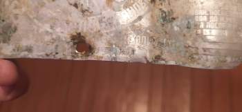IMG_20250406_205016.jpg