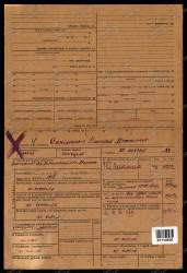 Синельников 1.jpg