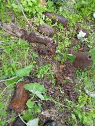 WhatsApp Image 2025-05-24 at 15.53.42.jpeg