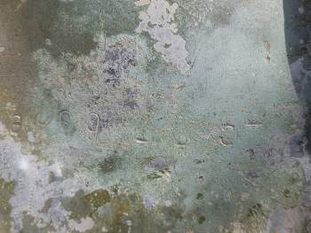 20250418_132650.jpg