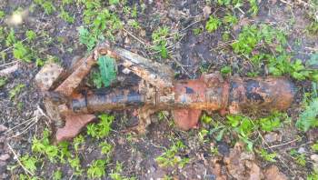 20250605_205956 (1).jpg