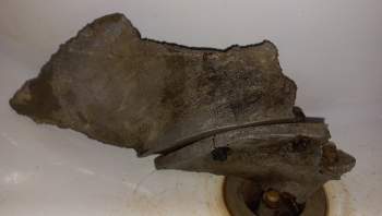 20250613_220958 (1).jpg