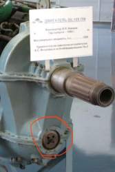 IMG_2159.jpeg