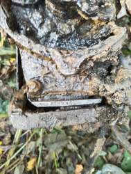 IMG_20250914_081243 (1).jpg