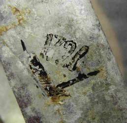 photoeditorsdk-export (7)_11zon.jpg