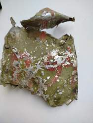 IMG20251013153955 (1).jpg