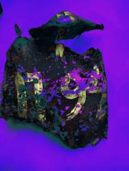 IMG20251013153955 (1)++.jpg