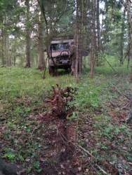 IMG-20210512-WA0004.jpg