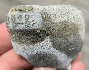 Номер мотора.jpg