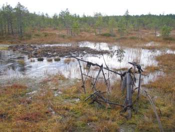 (071022002401)_lomonosov_051 2.jpg