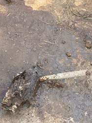 photo_5242534496110841787_y (1).jpg