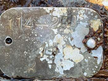 photo_5242534496110841791_y (2).jpg