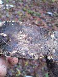 WhatsApp Image 2025-11-20 at 16.09.22(1).jpeg