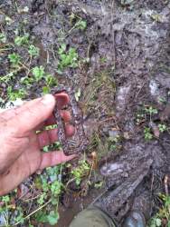 WhatsApp Image 2025-11-20 at 16.09.24(1).jpeg