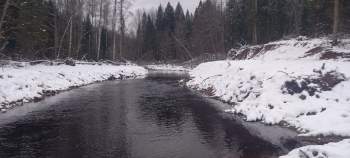 photo_2025-11-20_16-34-34 (2).jpg