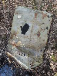 Приложение 1.jpg