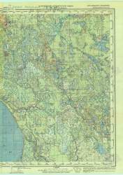 нурмалица - копия (4).jpg