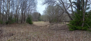 IMG_20260420_102413.png