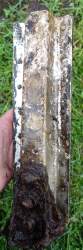 DSC03422_result.jpg