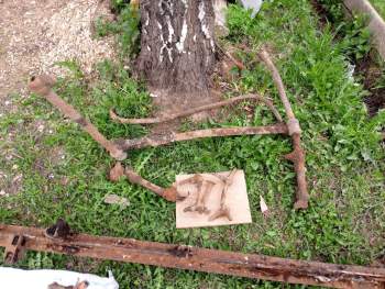 IMG_20260509_153525_188.jpg